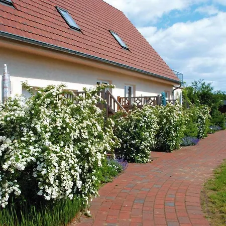 Ferienhaus Muritzsee Buchholz - Dms02100-iyc *